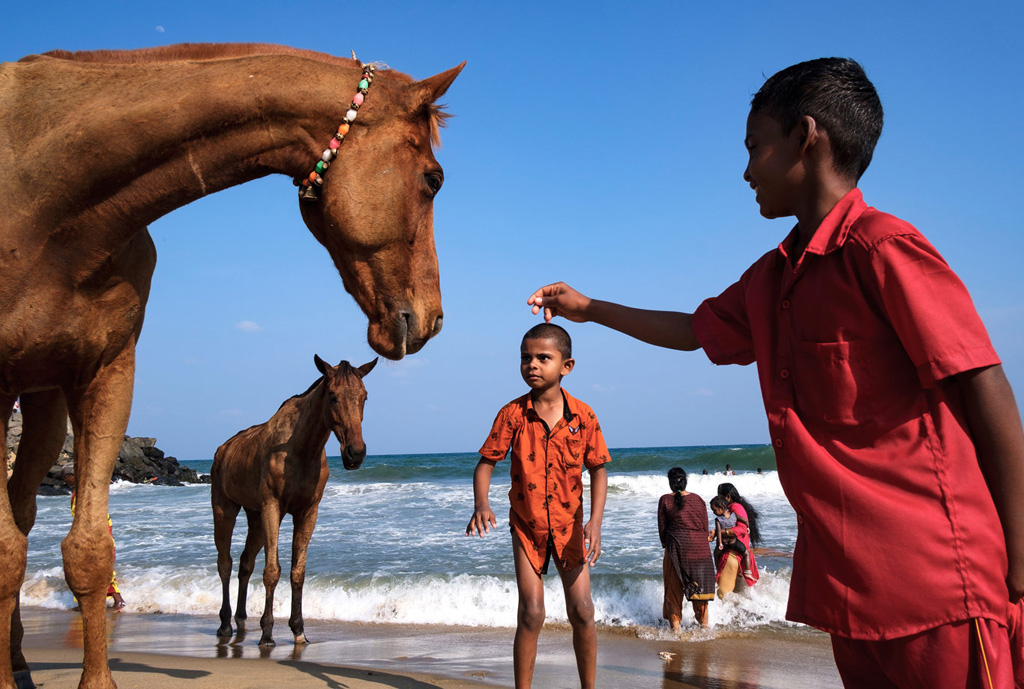 horses-beach-mamallapuram.jpg